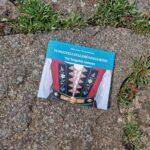 Tungufellsfaldbúningurinn