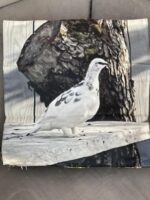 Púðaver (Rjúpa) 45x45cm með mynd beggja vegna - mjúkt velvet - Image 2